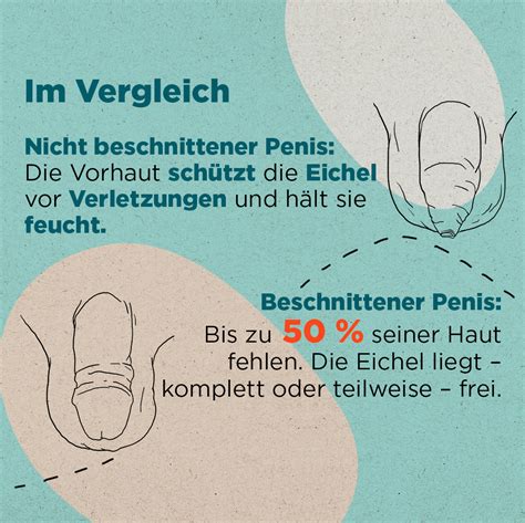 schwanz bilder männer|Beschnitten vs. unbeschnitten 